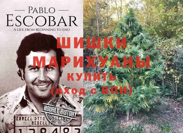 стаф Белоозёрский
