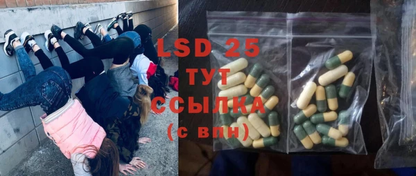 стаф Белоозёрский