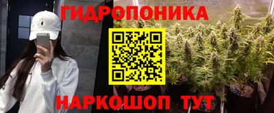 твердый Сосновый Бор