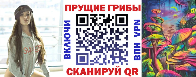 Галлюциногенные грибы Cubensis  Купить где  Боровичи 