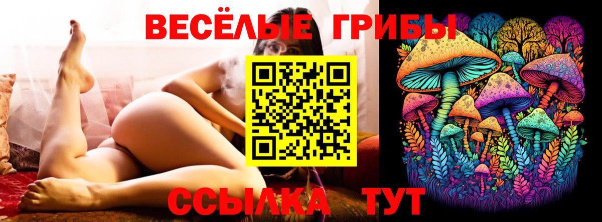 Боровичи  Галлюциногенные грибы мицелий  продажа наркотиков  Вход с VPN 