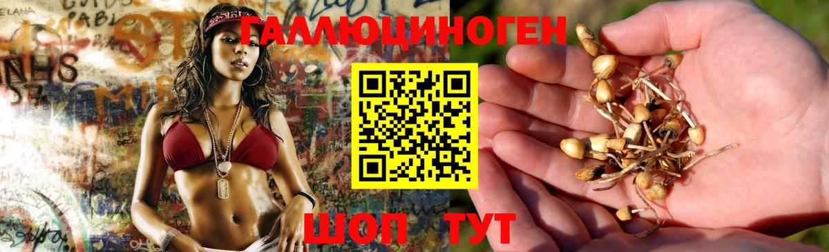 Галлюциногенные грибы Cubensis  Галлюциногенные грибы GOLDEN TEACHER  Боровичи 